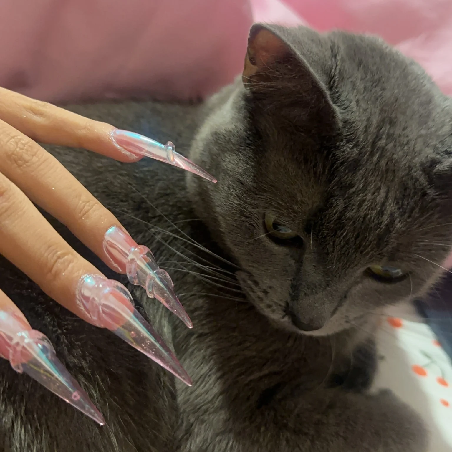 Cat Claw Crazy Gelip - Image 4